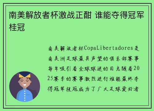 南美解放者杯激战正酣 谁能夺得冠军桂冠
