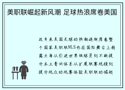 美职联崛起新风潮 足球热浪席卷美国